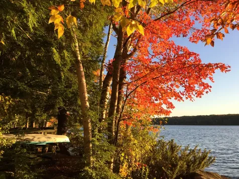 19 Lunts Point Lane Oxford ME 04270