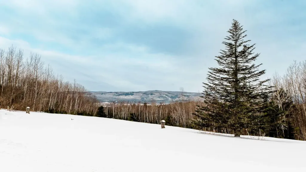 209 Mahoney Hill Road Bingham ME 04920
