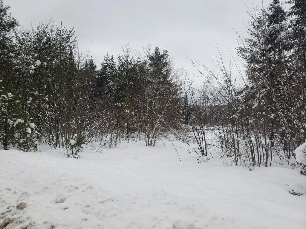 1010 Knights Hill Road Sweden ME 04040