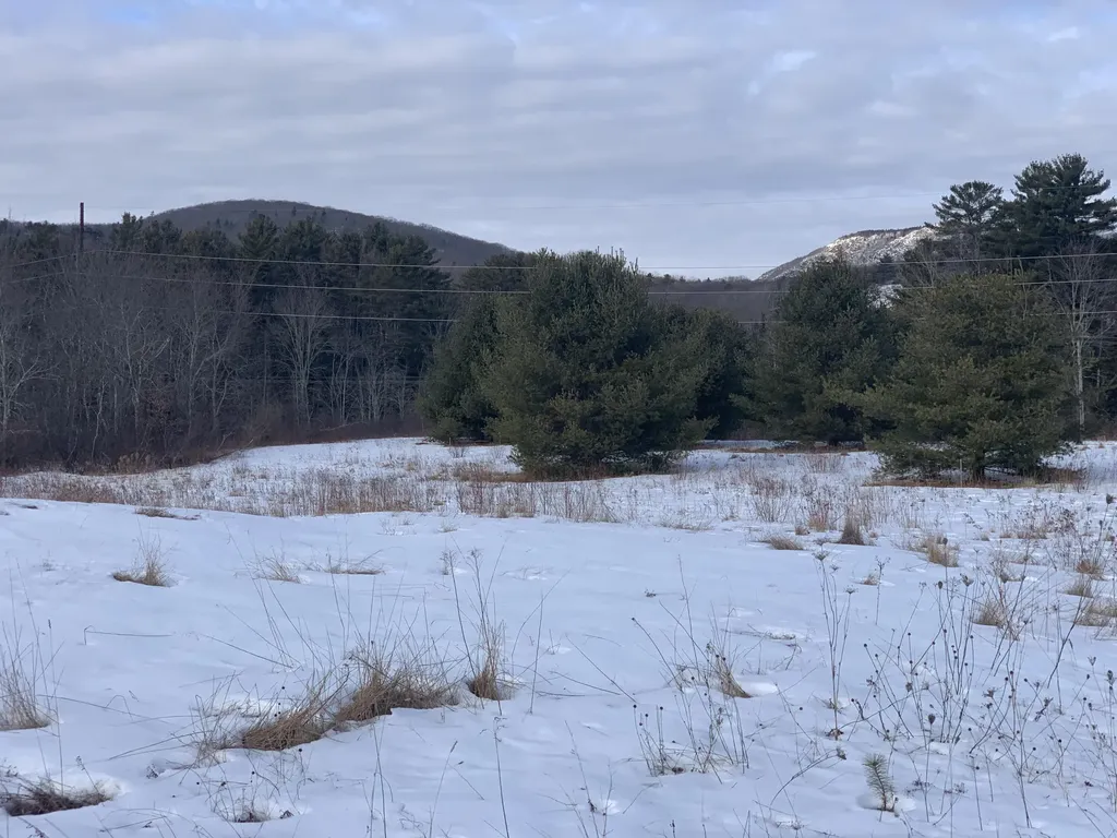 Lot #7 Rolling Meadow East Rockport ME 04856