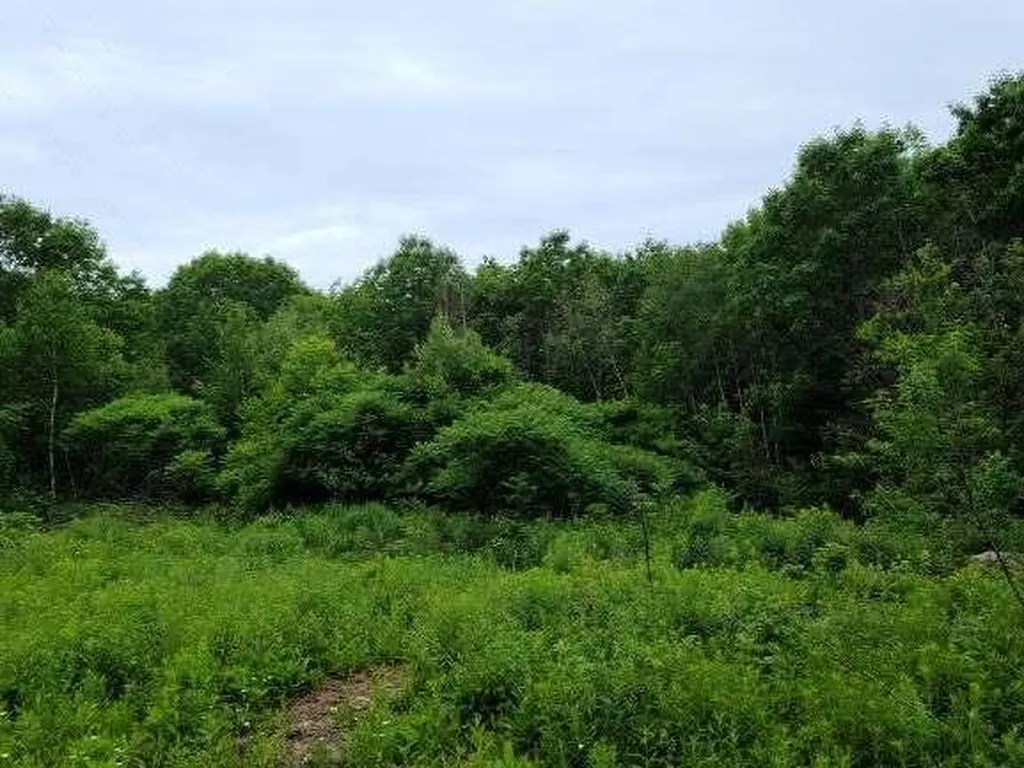 Lot A Shaw Road Augusta ME 04330