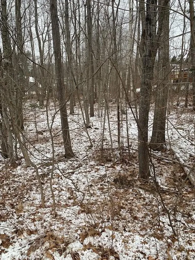56 Woodcrest Avenue Camden ME 04843