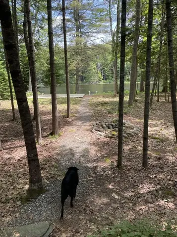 16 Deer Run Mount Vernon ME 04352