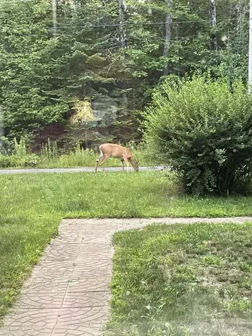 16 Deer Run Mount Vernon ME 04352