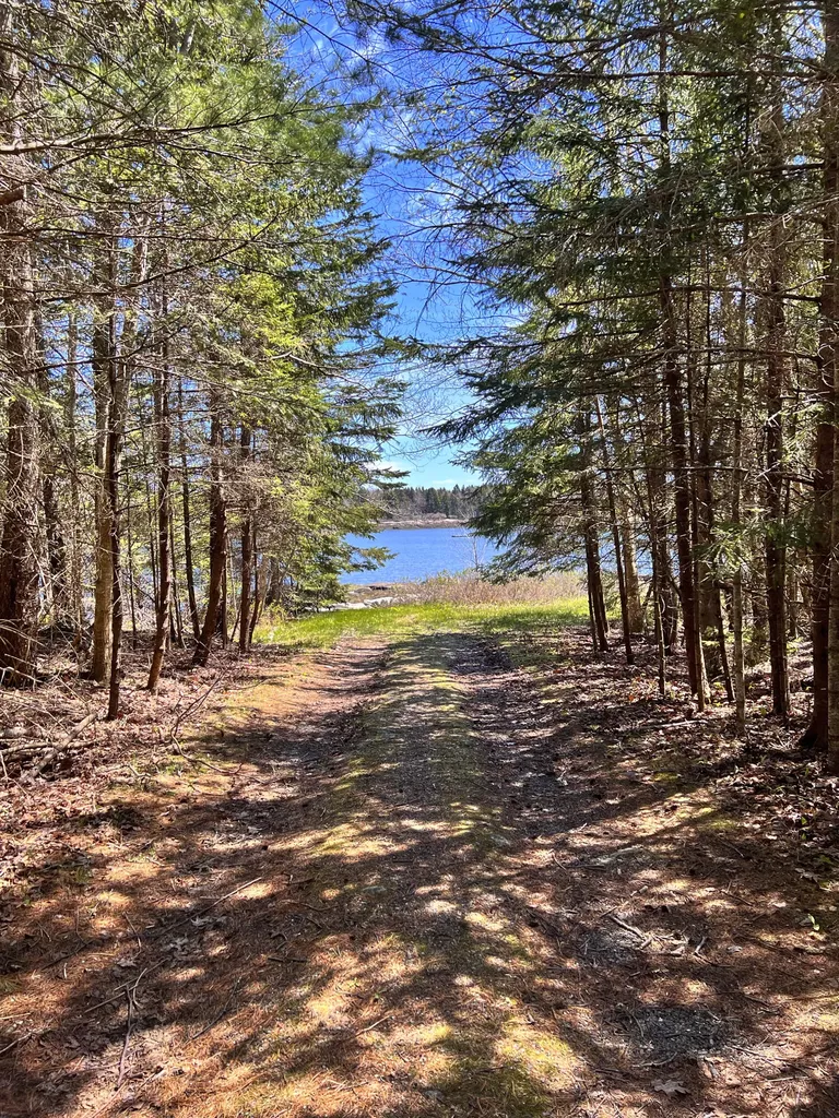 156 Scraggle Point Road Saint George ME 04859