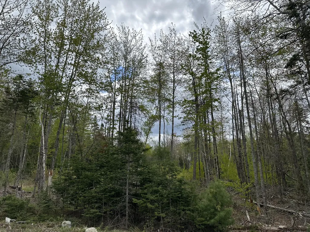 Lot 6 Sunset Hill Road Hancock ME 04640