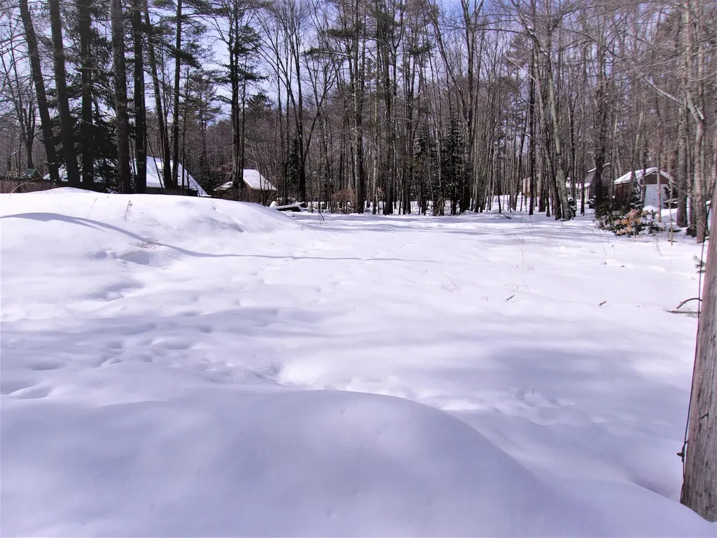 50 Thomas Pond Shore Road Casco ME 04015