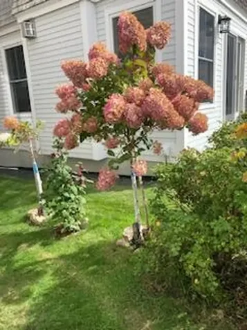 27 Nubble Road York ME 03909