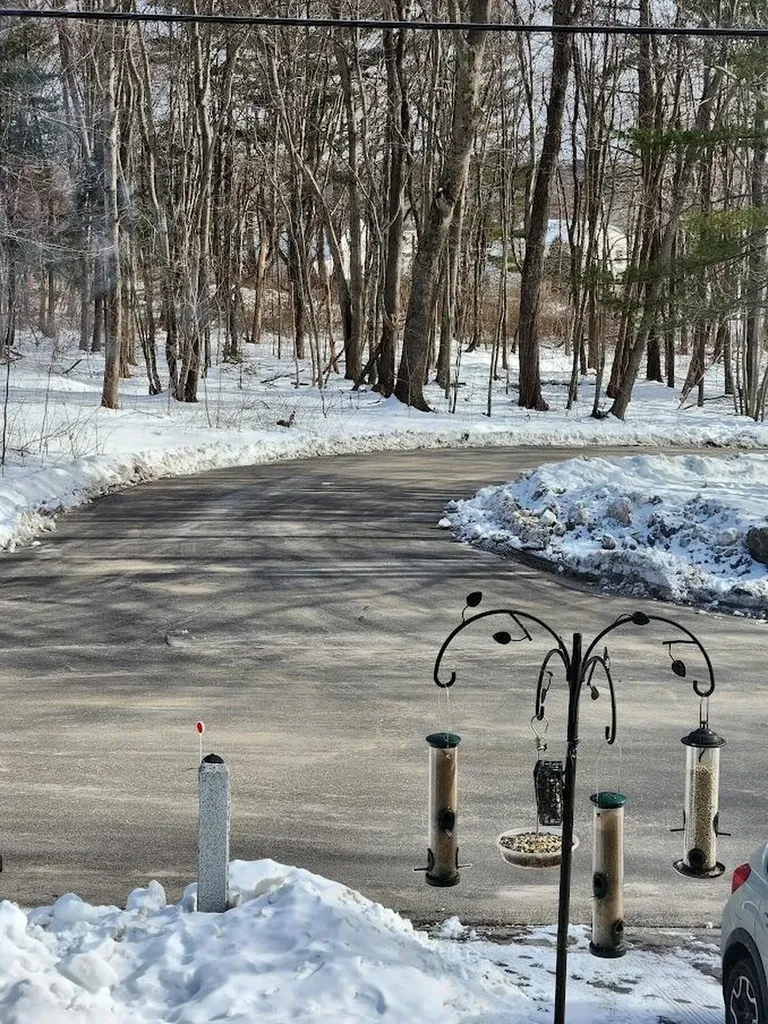 29 Down E Lane Scarborough ME 04074