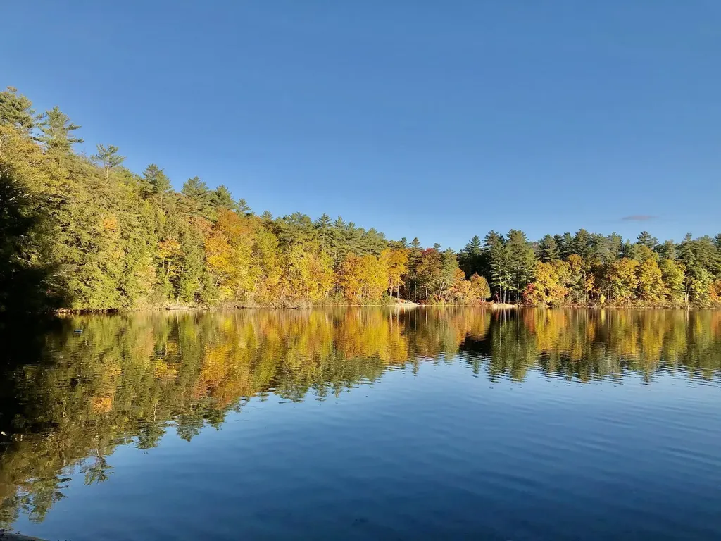 10 Randall Drive Raymond ME 04071