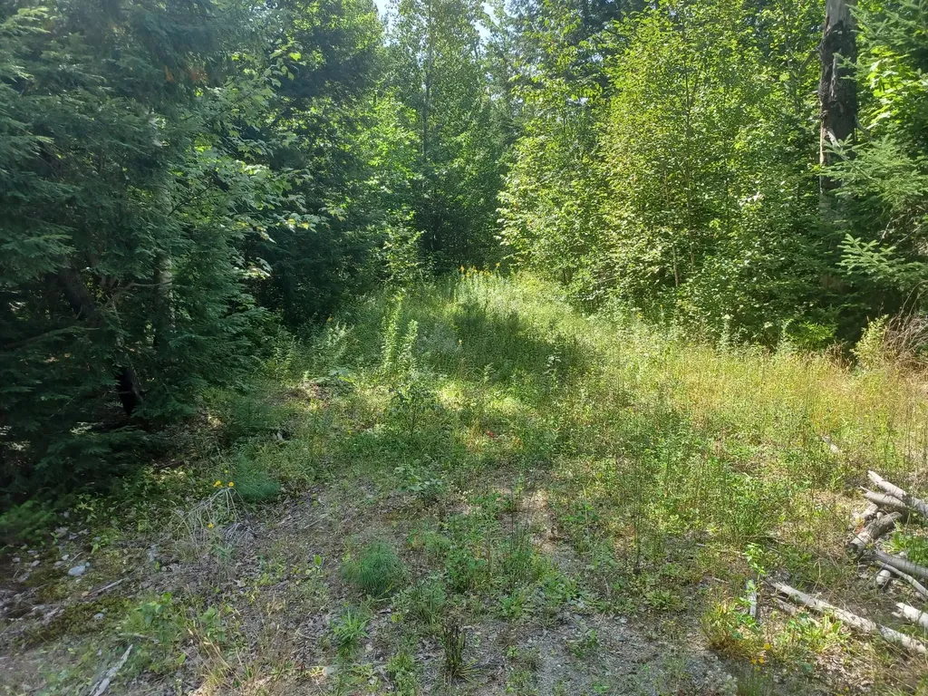 0 Hollin Waite Hill Road Anson ME 04911