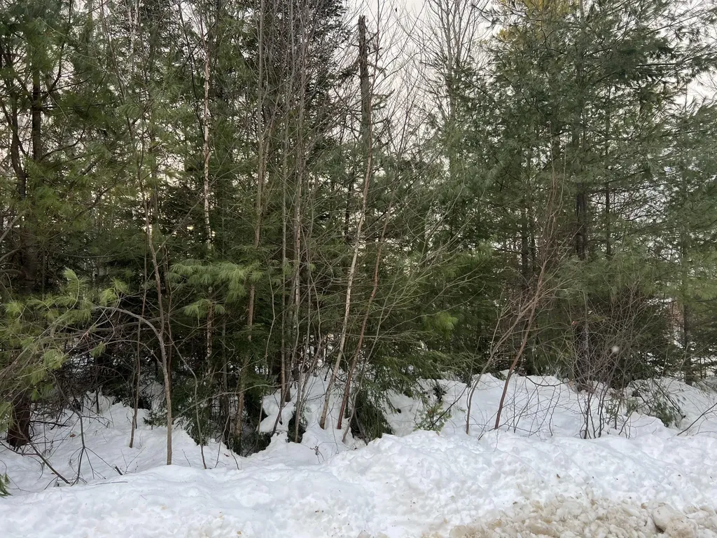Lot 6 Grandview Road Bethel ME 04217