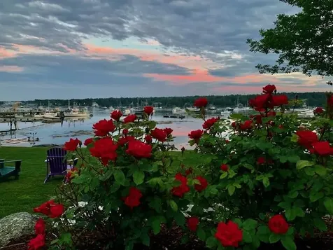 132 Clark Point Road Southwest Harbor ME 04679
