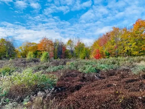 0 Dipper Pond Road Carroll Plt ME 04487