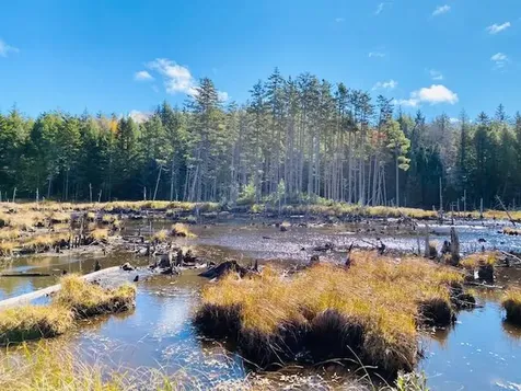 0 Dipper Pond Road Carroll Plt ME 04487
