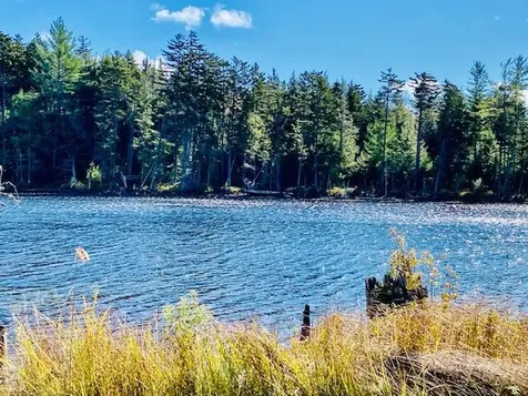 0 Dipper Pond Road Carroll Plt ME 04487