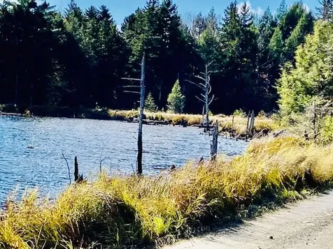 0 Dipper Pond Road Carroll Plt ME 04487