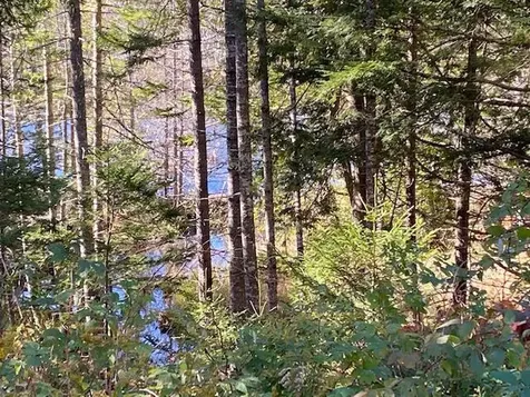 0 Dipper Pond Road Carroll Plt ME 04487