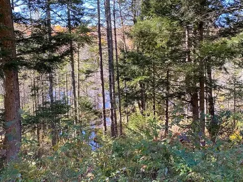 0 Dipper Pond Road Carroll Plt ME 04487