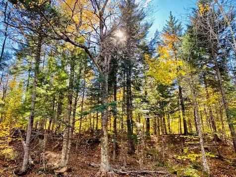 0 Dipper Pond Road Carroll Plt ME 04487