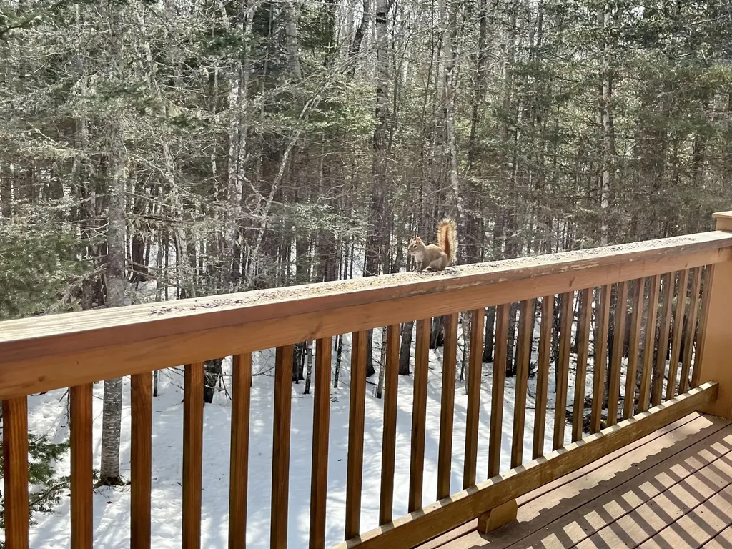 117 High Head Road East Machias ME 04630