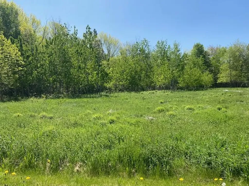 Lot 55 Linden Lane Camden ME 04843