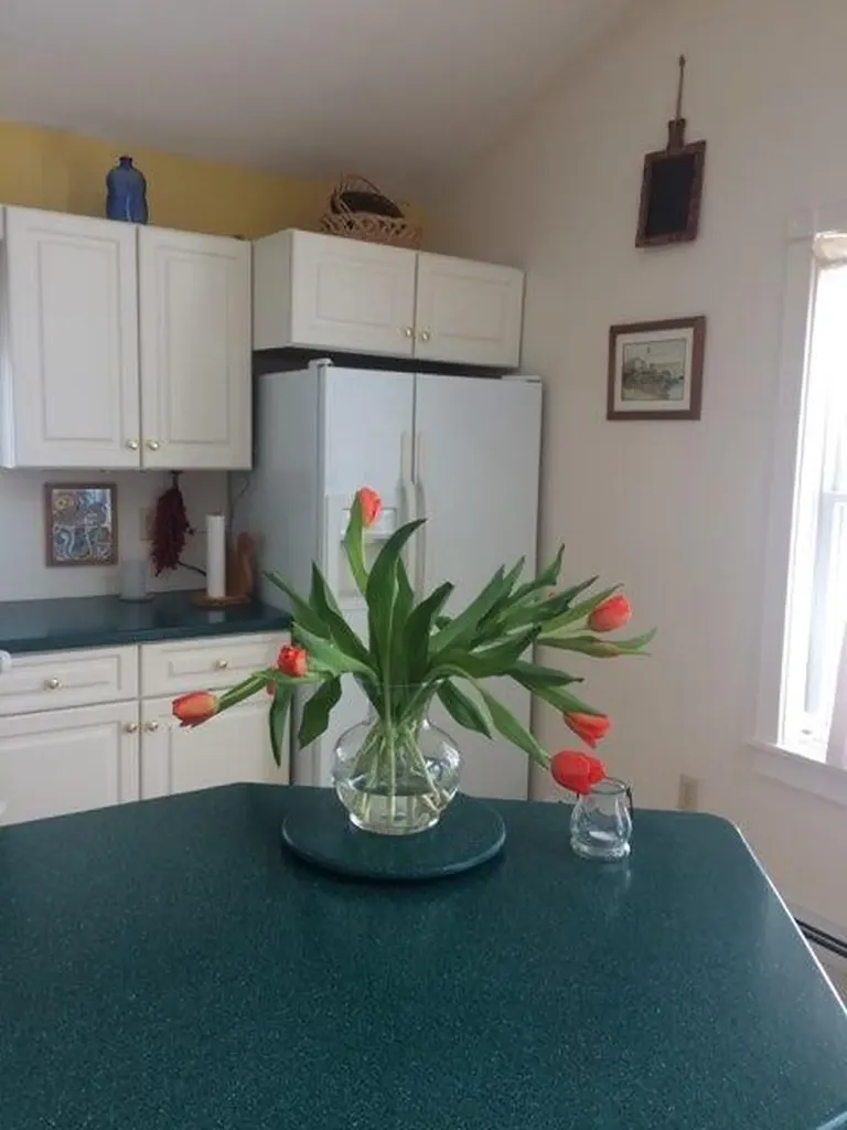 80 Pine Trail Dedham ME 04429