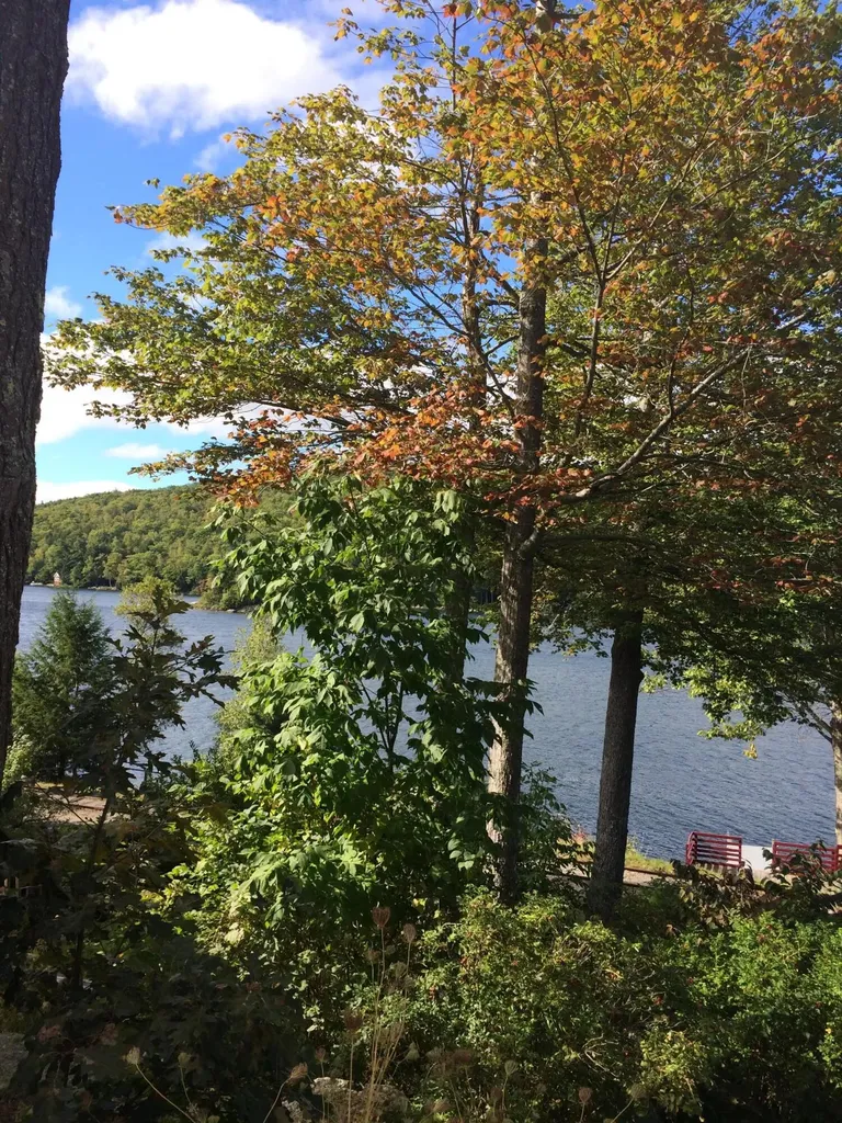 80 Pine Trail Dedham ME 04429