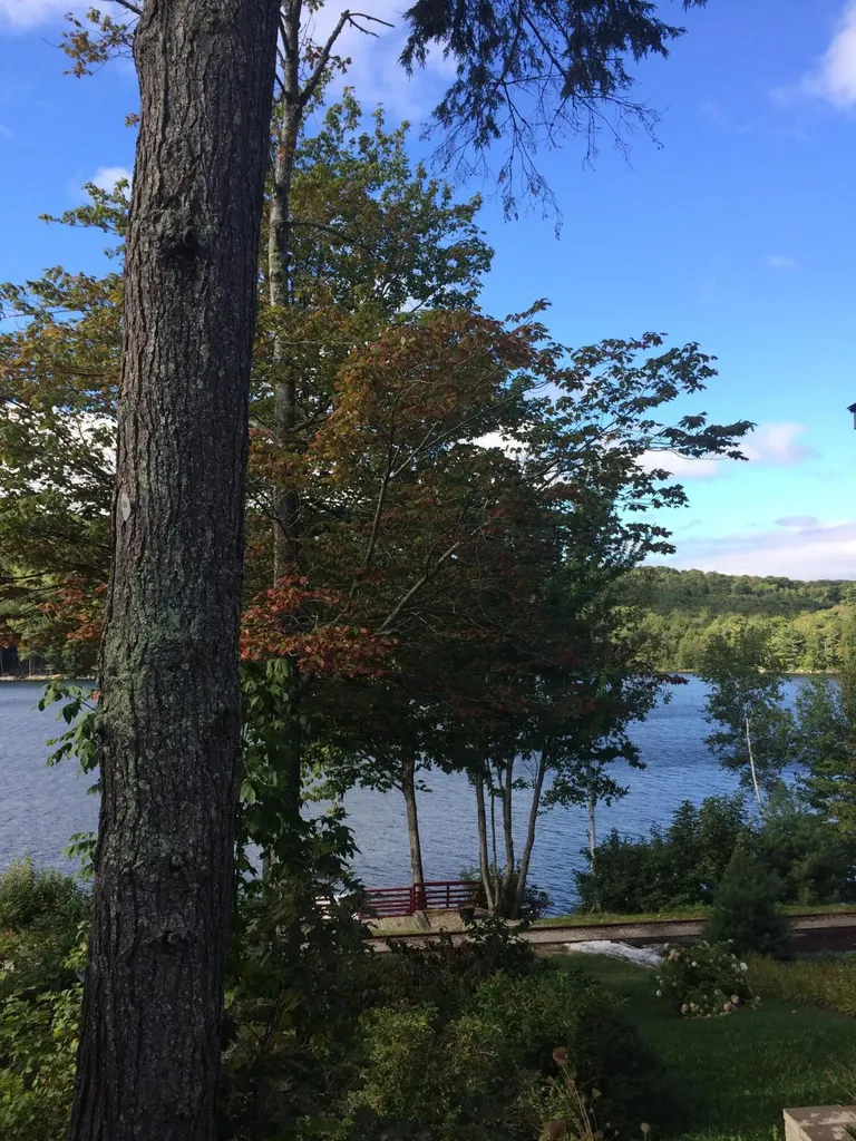 80 Pine Trail Dedham ME 04429