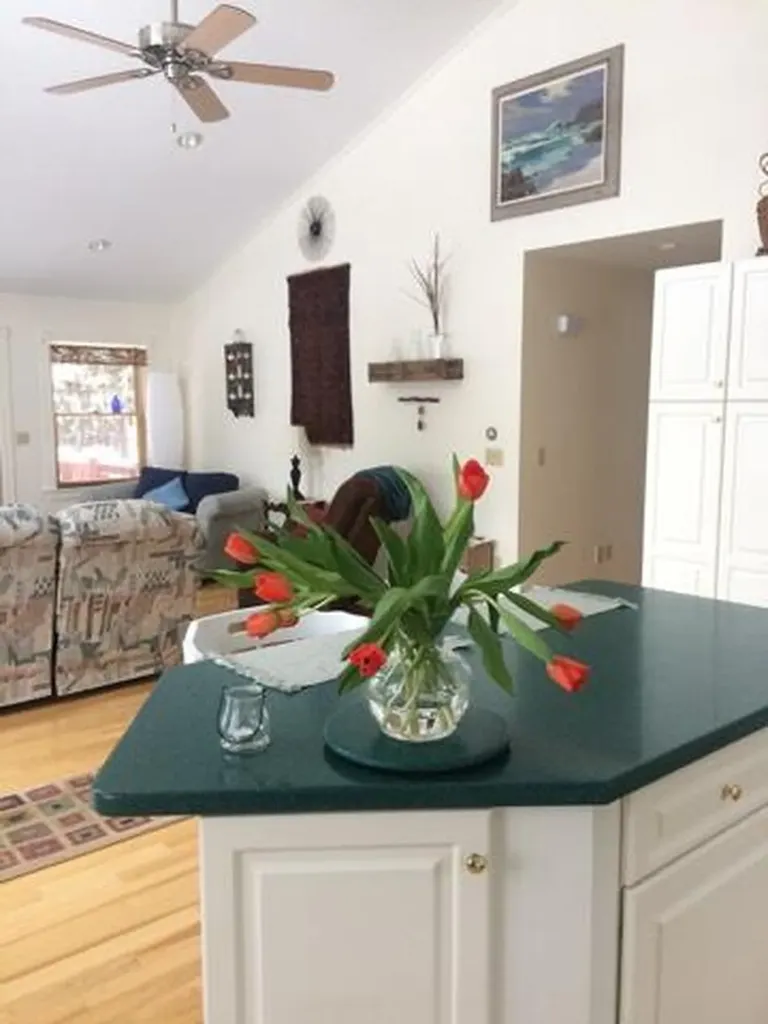 80 Pine Trail Dedham ME 04429