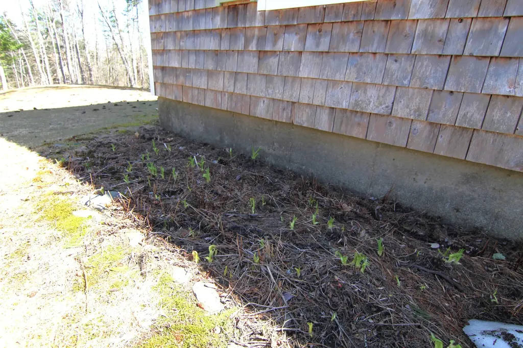 51 Garden Drive Winterport ME 04496