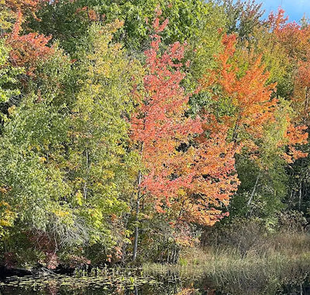 1013 Old North Berwick Road Alfred ME 04002