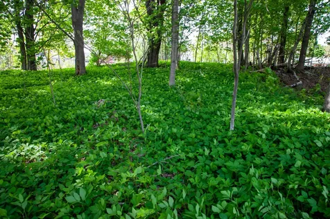 199 Temple Road Farmington ME 04938