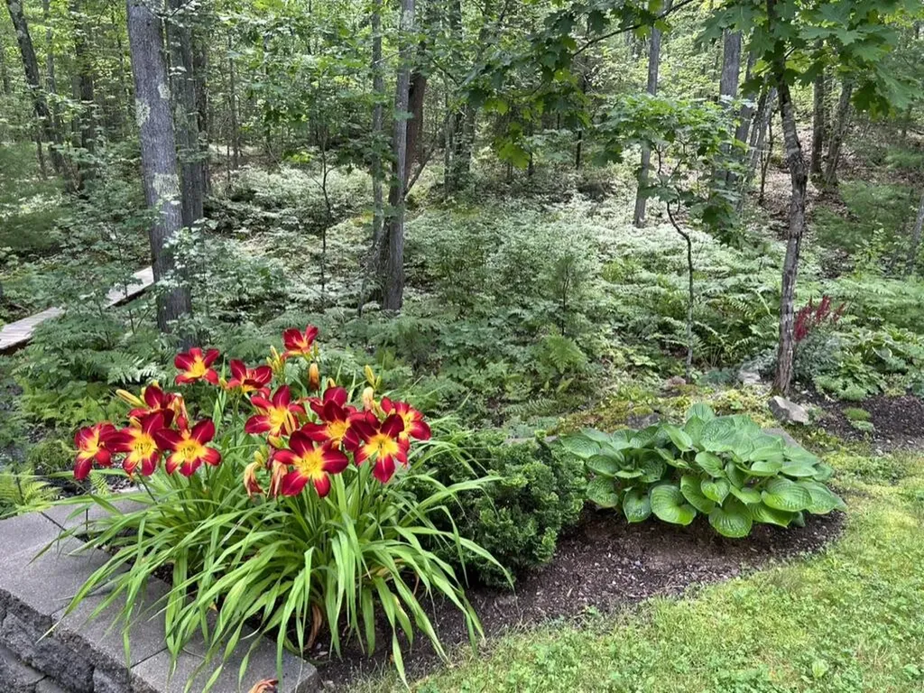 19 New Adams Road Kennebunkport ME 04046