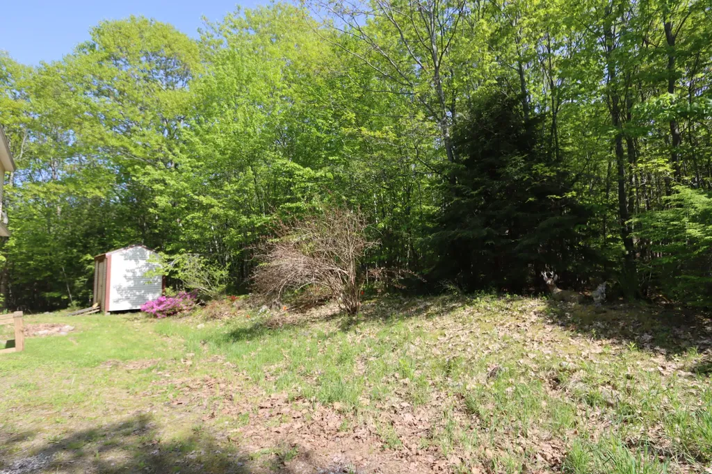 191 Dearborn Road Canton ME 04221