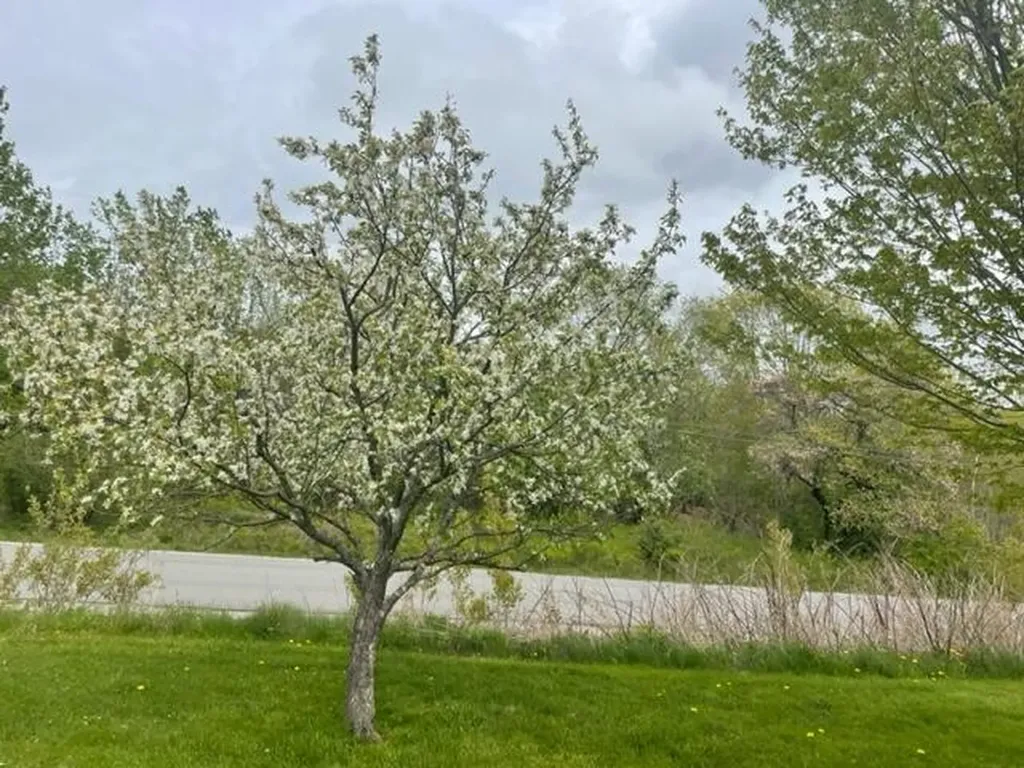 36 Russell Hill Road Bucksport ME 04416