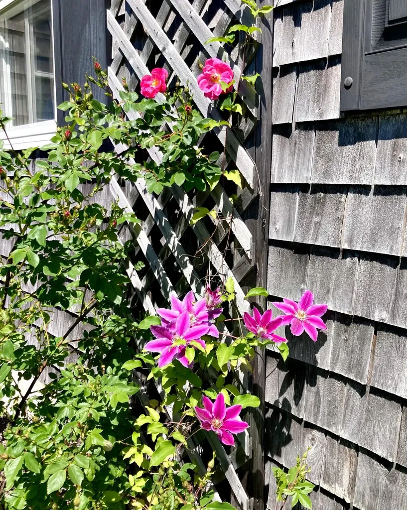 1150 Mason Bay Road Jonesport ME 04649