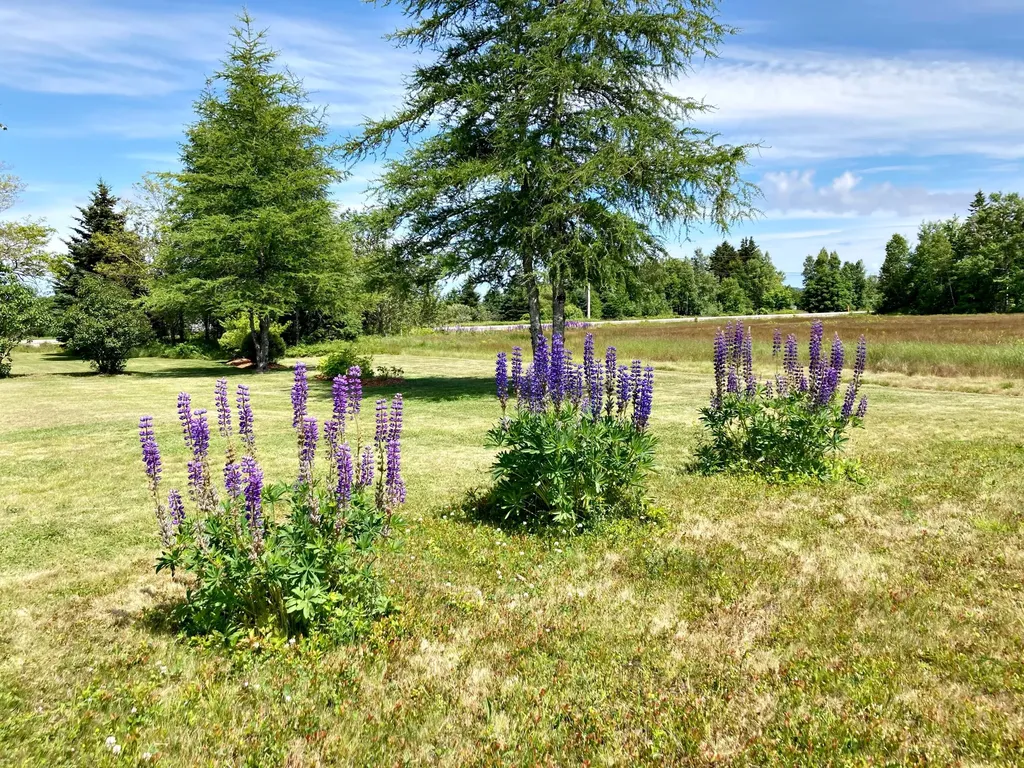 1150 Mason Bay Road Jonesport ME 04649