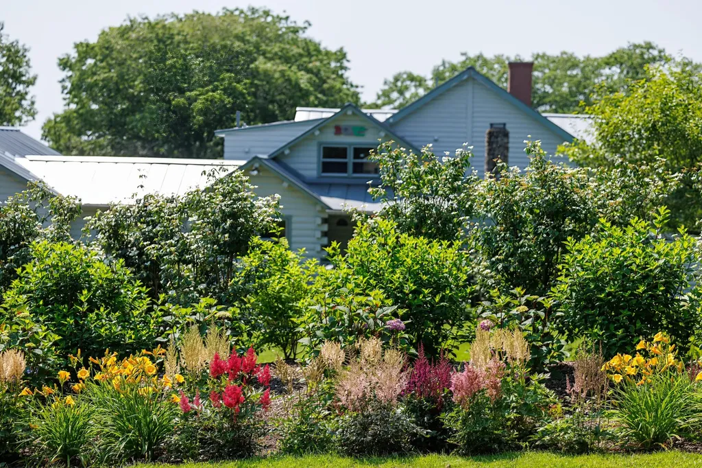 178 Johnson Point Road Penobscot ME 04476