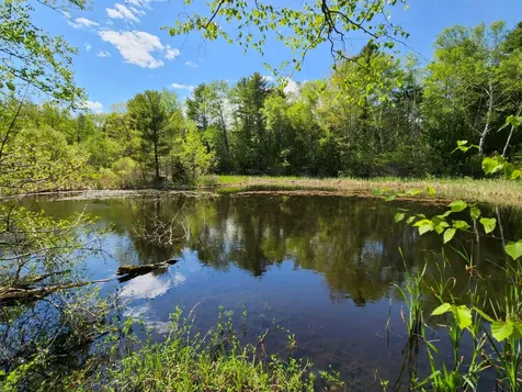 00 Deer Meadow Road Lincolnville ME 04849