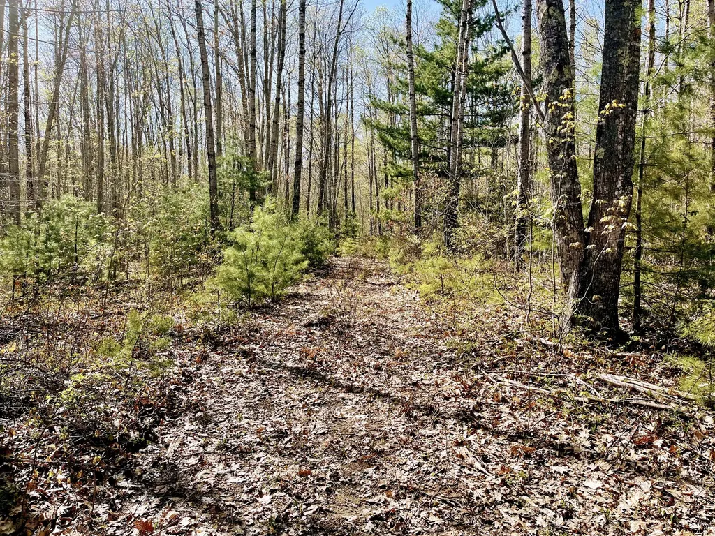M22 Lot 62 Heather Hill Road Lincolnville ME 04849
