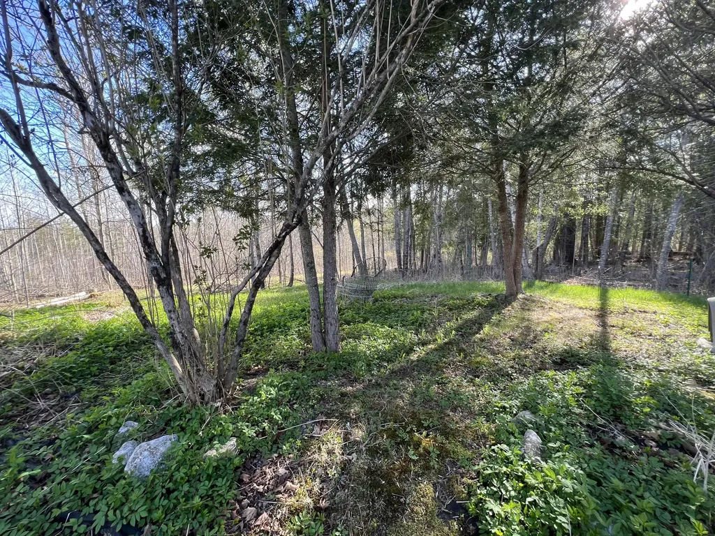 471 Airline Road Amherst ME 04605