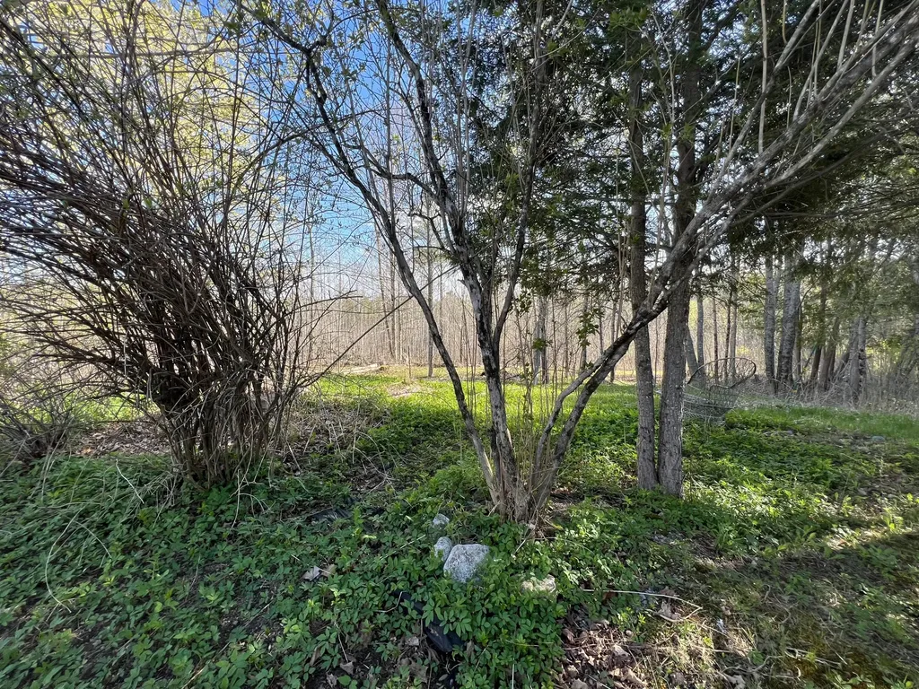 471 Airline Road Amherst ME 04605
