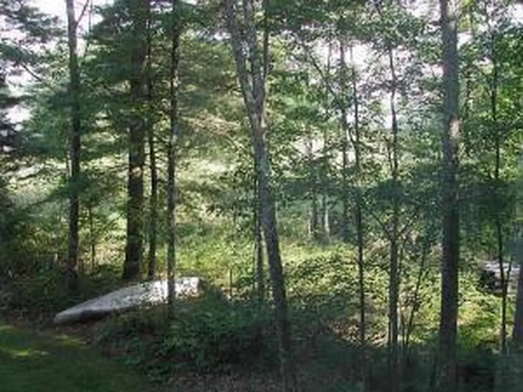 0 Thompson Lake Shores Road Casco ME 04015