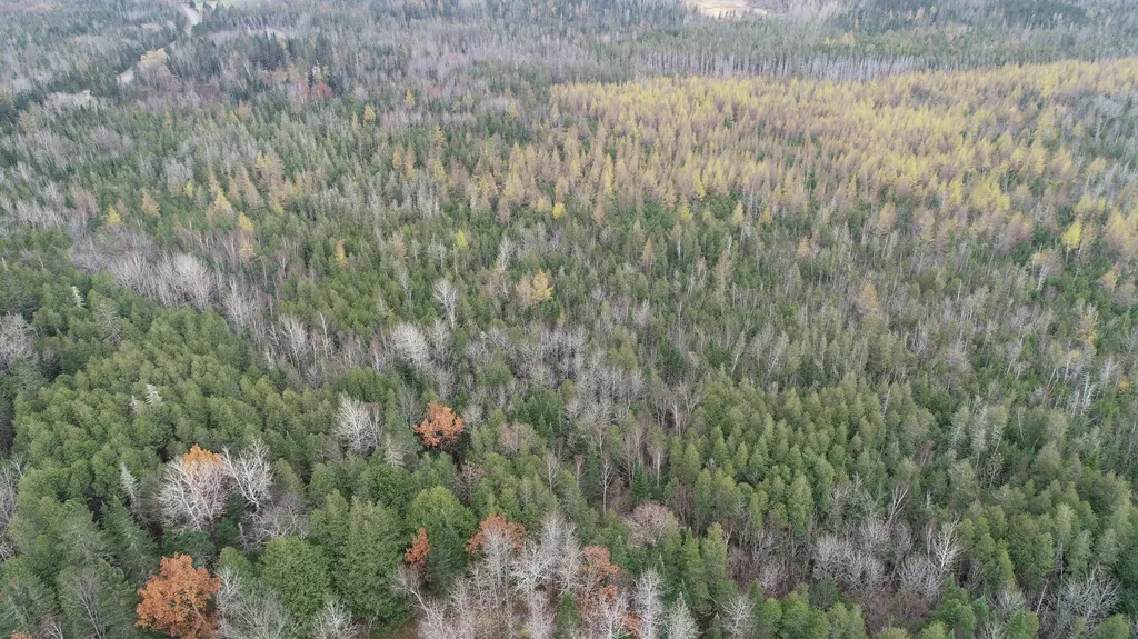 Lot 18 Us Route 2 Highway Sherman ME 04776