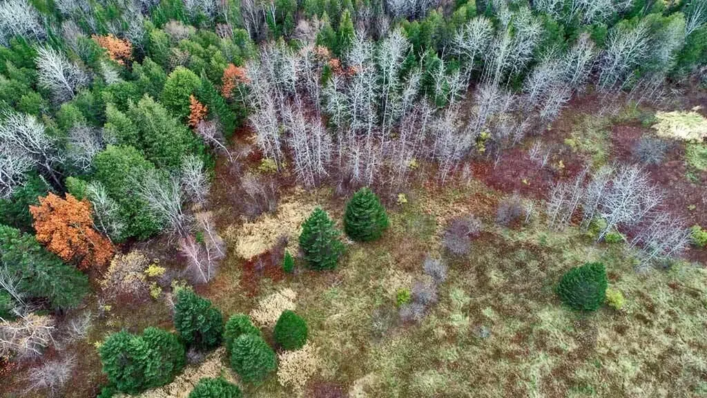 Lot 18 Us Route 2 Highway Sherman ME 04776