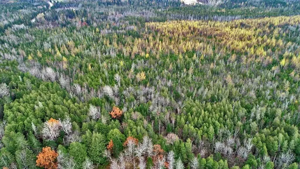 Lot 18 Us Route 2 Highway Sherman ME 04776