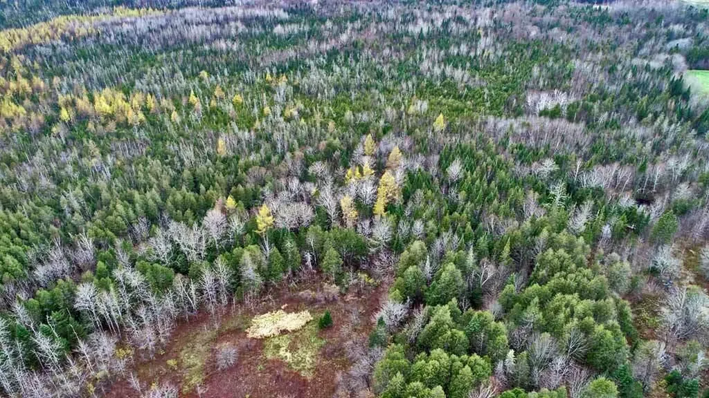 Lot 18 Us Route 2 Highway Sherman ME 04776