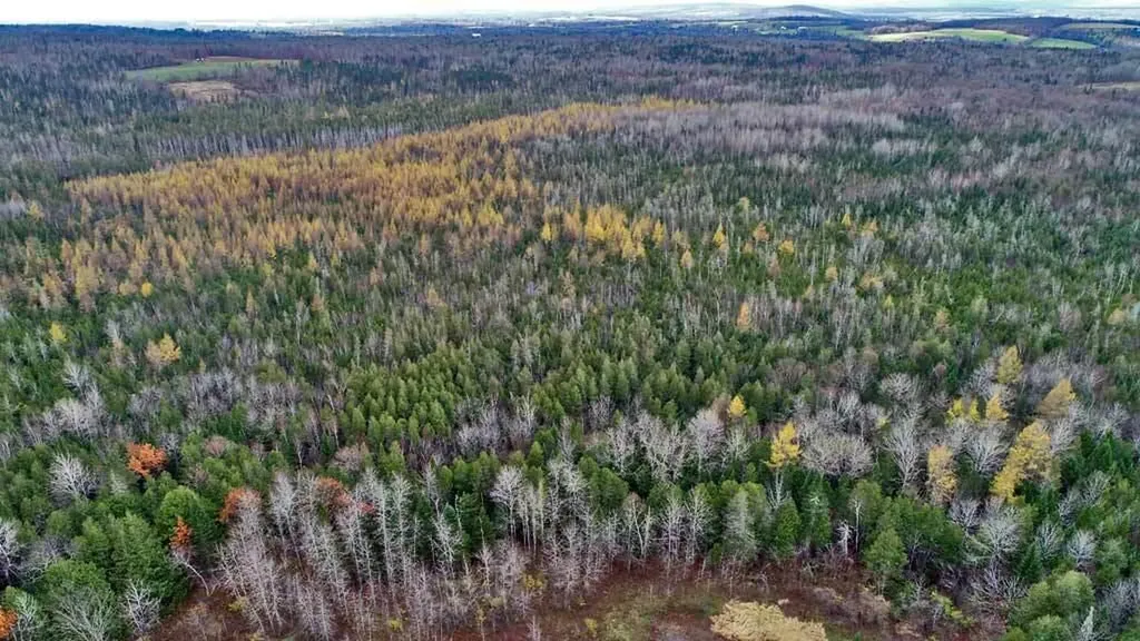 Lot 18 Us Route 2 Highway Sherman ME 04776