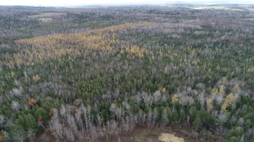 Lot 18 Us Route 2 Highway Sherman ME 04776